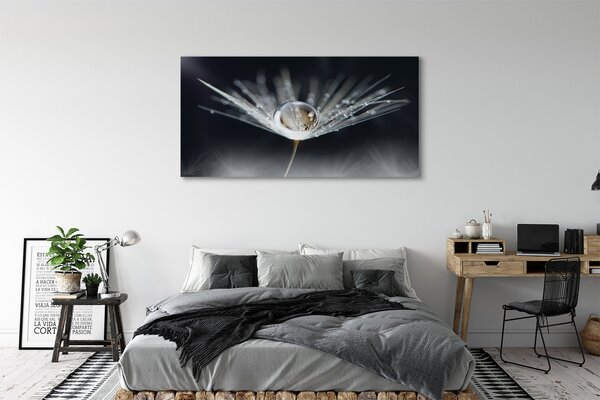 Tablouri canvas Picătură păpădie macro