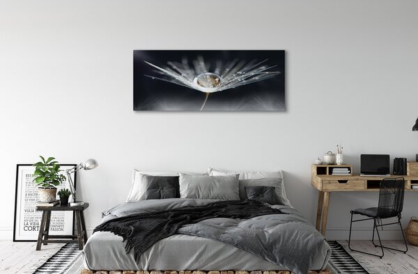 Tablouri canvas Picătură păpădie macro