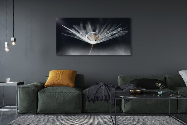 Tablouri canvas Picătură păpădie macro