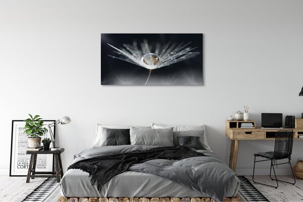 Tablouri canvas Picătură păpădie macro