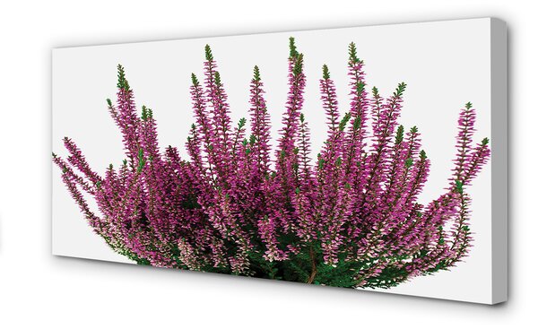 Tablouri canvas Heathers