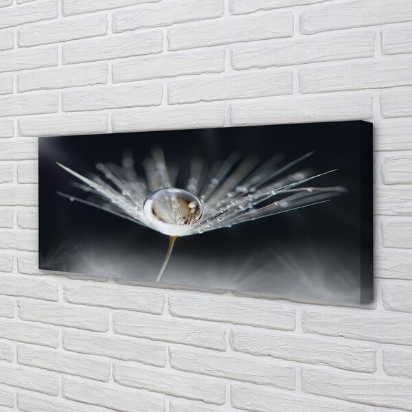 Tablouri canvas Picătură păpădie macro