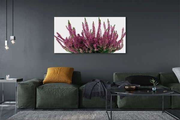 Tablouri canvas Heathers