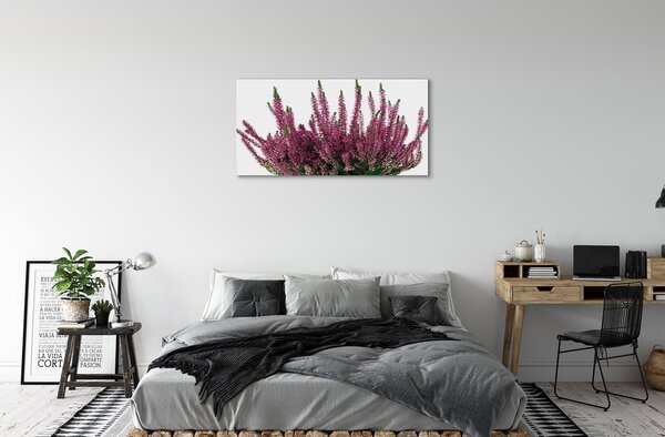 Tablouri canvas Heathers