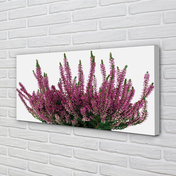 Tablouri canvas Heathers