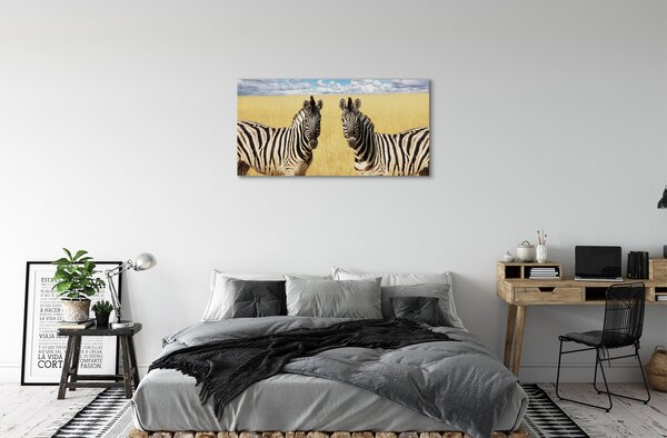 Tablouri canvas caseta de zebră