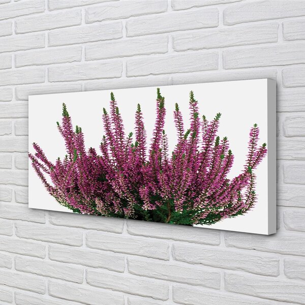 Tablouri canvas Heathers