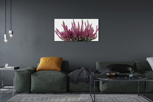 Tablouri canvas Heathers