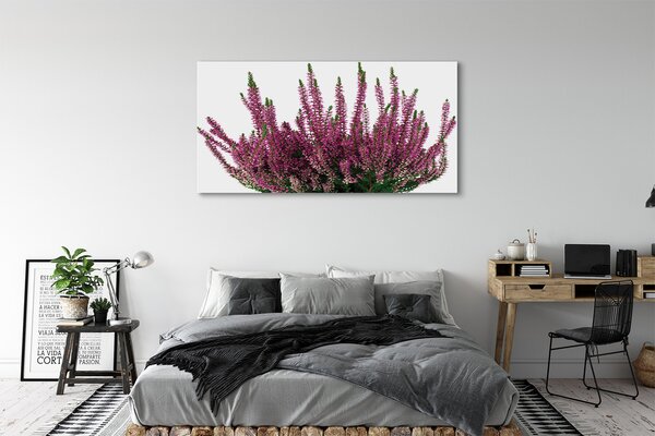 Tablouri canvas Heathers
