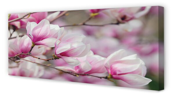 Tablouri canvas flori de copac
