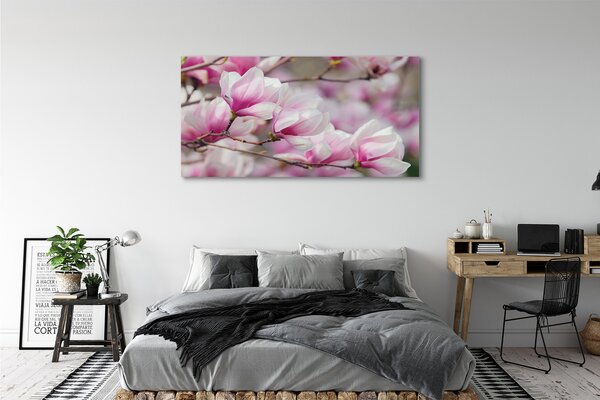 Tablouri canvas flori de copac