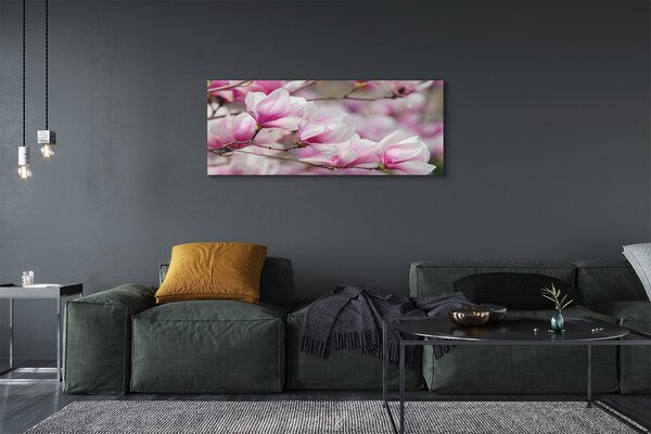 Tablouri canvas flori de copac