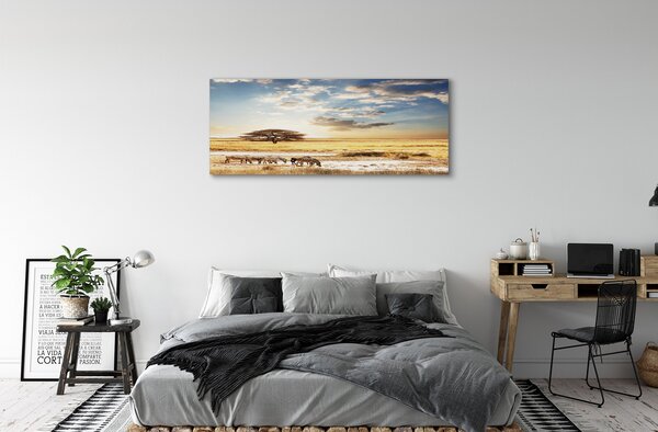 Tablouri canvas Zebra nori copac