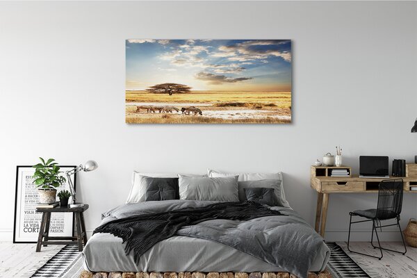 Tablouri canvas Zebra nori copac