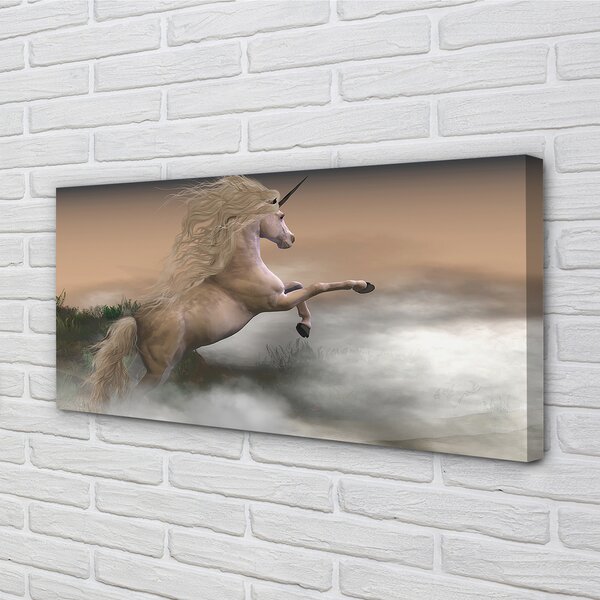Tablouri canvas nori Unicorn