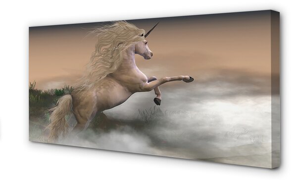 Tablouri canvas nori Unicorn