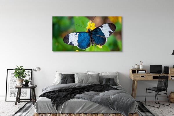 Tablouri canvas fluture colorat pe flori