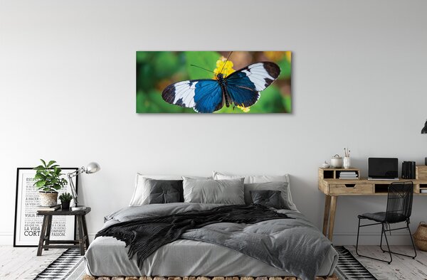Tablouri canvas fluture colorat pe flori