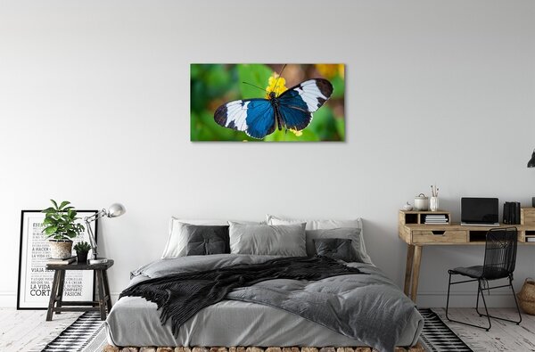 Tablouri canvas fluture colorat pe flori