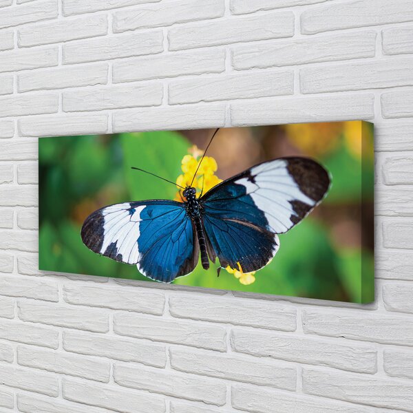 Tablouri canvas fluture colorat pe flori
