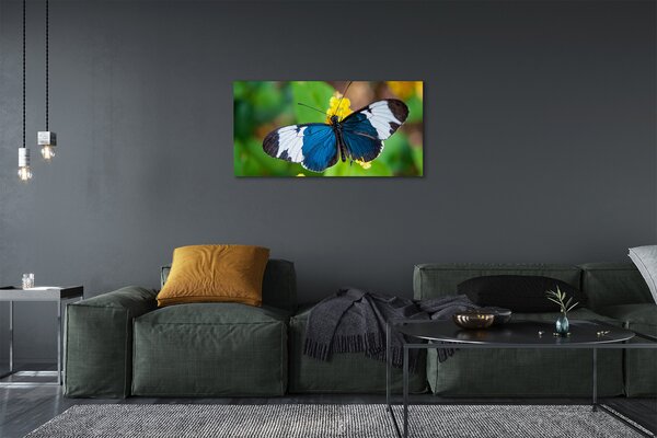 Tablouri canvas fluture colorat pe flori