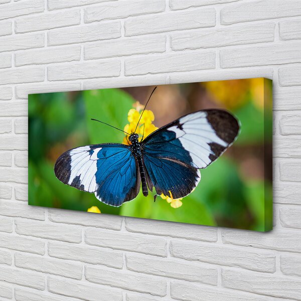 Tablouri canvas fluture colorat pe flori