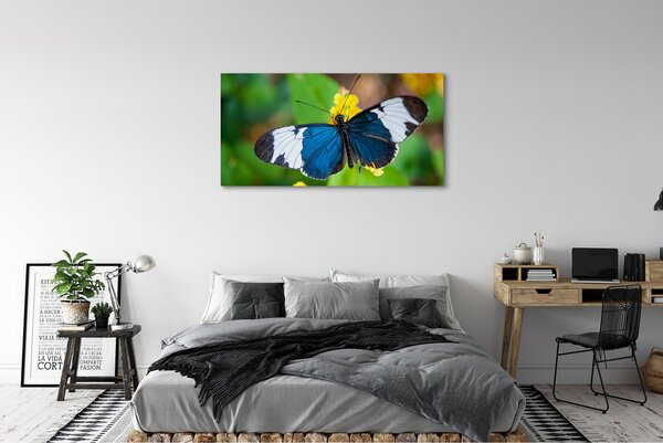 Tablouri canvas fluture colorat pe flori