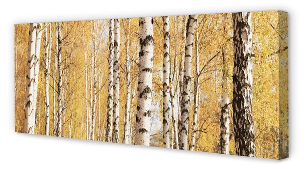 Tablouri canvas copaci de toamnă