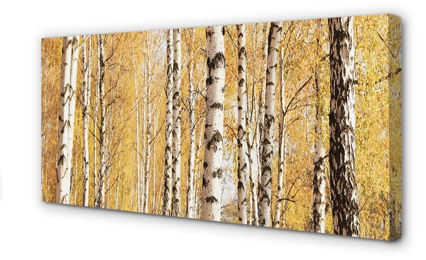 Tablouri canvas copaci de toamnă