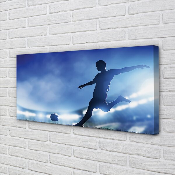 Tablouri canvas Omul de lumină albastră