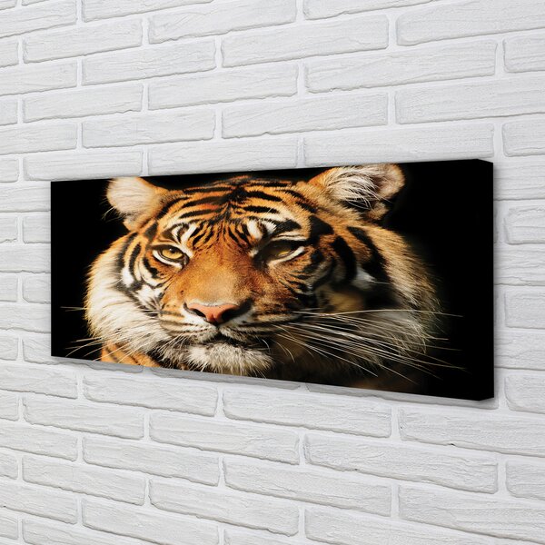 Tablouri canvas Tigru