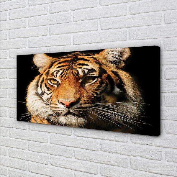 Tablouri canvas Tigru