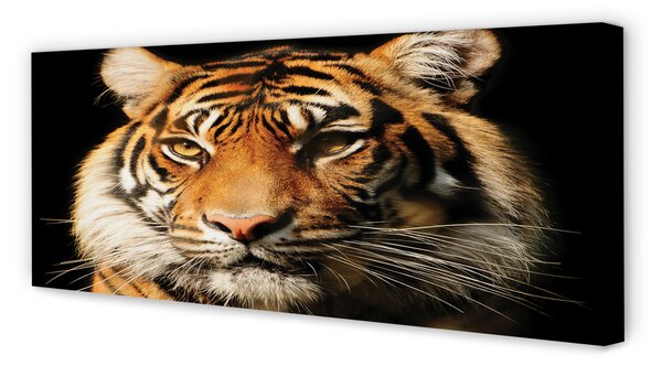 Tablouri canvas Tigru