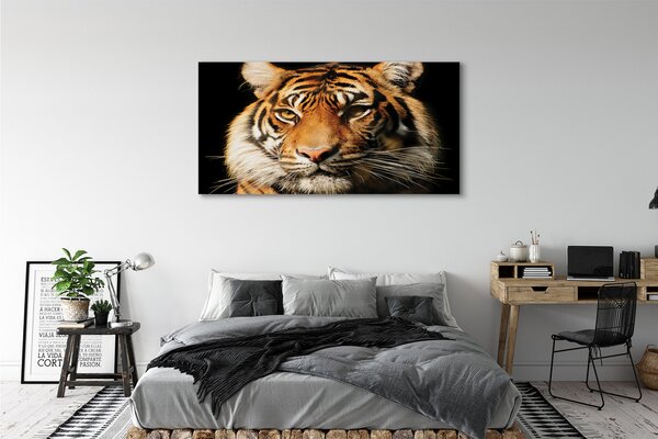 Tablouri canvas Tigru