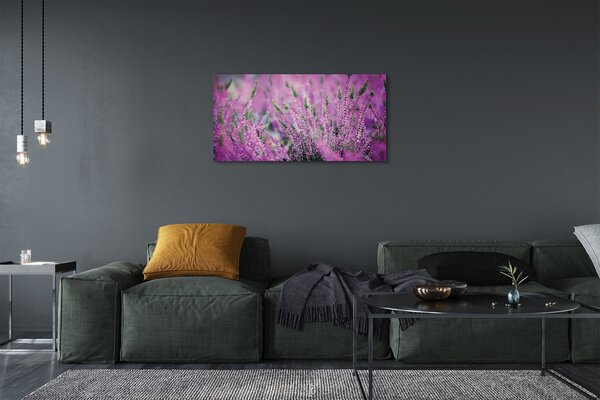 Tablouri canvas Heathers câmp