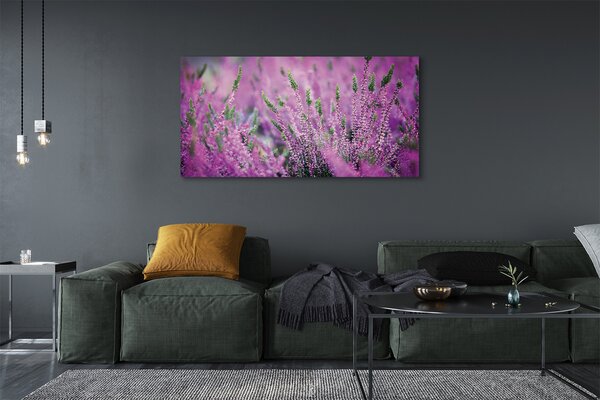 Tablouri canvas Heathers câmp
