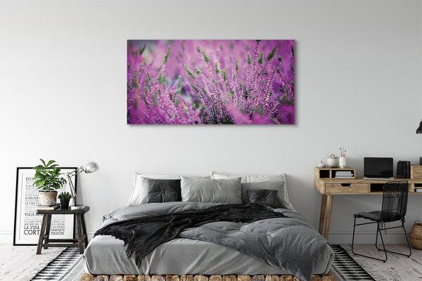 Tablouri canvas Heathers câmp