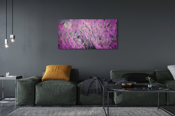Tablouri canvas Heathers câmp