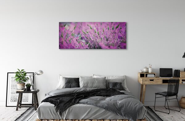Tablouri canvas Heathers câmp