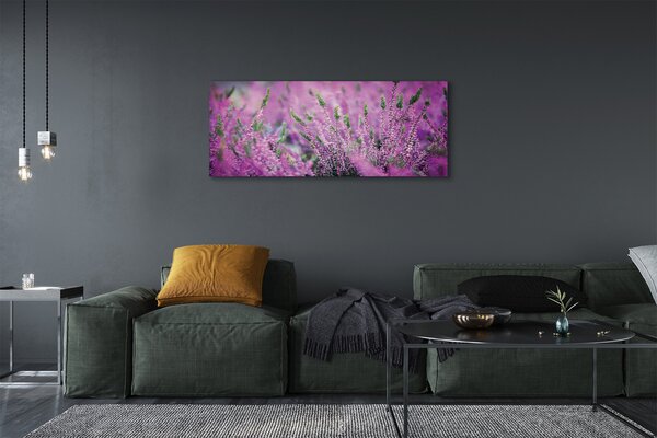 Tablouri canvas Heathers câmp