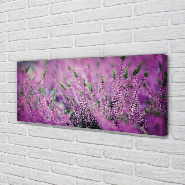 Tablouri canvas Heathers câmp