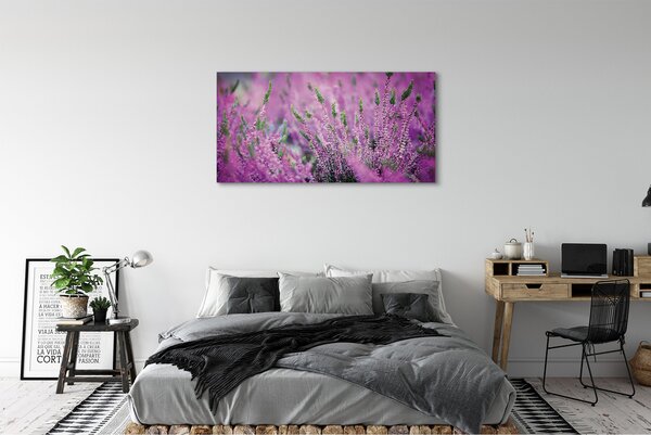 Tablouri canvas Heathers câmp