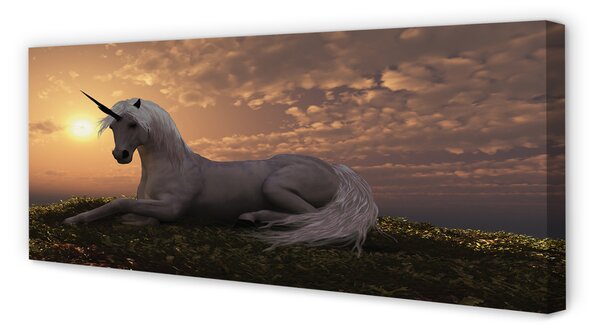Tablouri canvas apus de soare de munte Unicorn