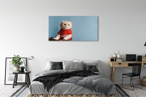 Tablouri canvas ședinței de pisică