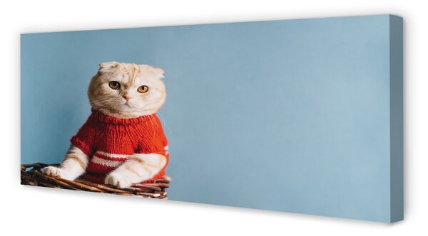 Tablouri canvas ședinței de pisică