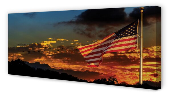 Tablouri canvas Statele Unite Flag