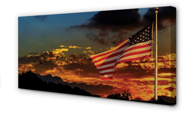 Tablouri canvas Statele Unite Flag