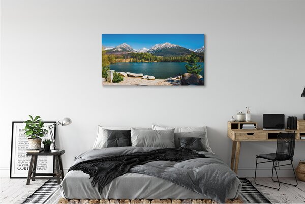 Tablouri canvas lac de munte