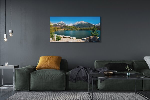 Tablouri canvas lac de munte