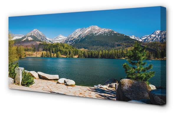 Tablouri canvas lac de munte